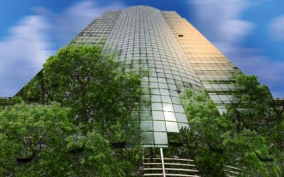 A Importância da Sustentabilidade Empresarial e suas Práticas