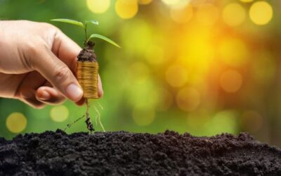 O que é Licenciamento Ambiental?