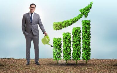 Os Desafios de Gerir Organizações Mais Sustentáveis