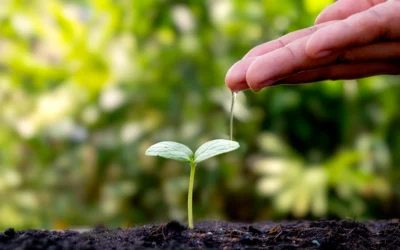 Gestão Ambiental: Como Implementar um Plano Eficiente