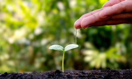 Gestão Ambiental: Como Implementar um Plano Eficiente