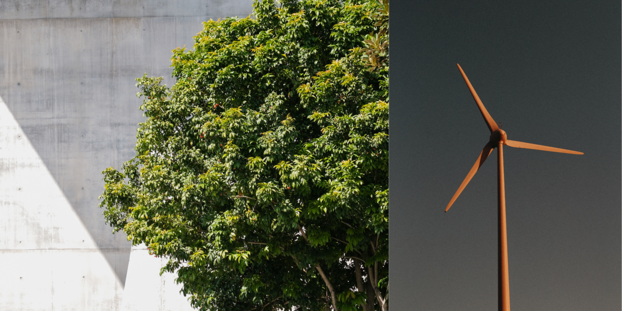 Descarbonização: O Guia para Empresas Sustentáveis em 2025