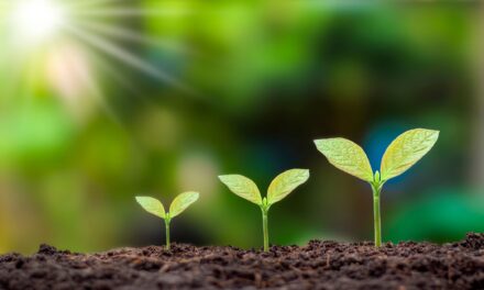 Sustentabilidade Corporativa e ESG: O Papel dos Projetos de Compensação Ambiental