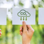 Auditoria Ambiental: 5 Erros que Você Deve Evitar e Como a Ricci Soluções Ambientais Pode Ajudar
