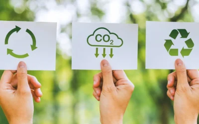 Auditoria Ambiental: 5 Erros que Você Deve Evitar e Como a Ricci Soluções Ambientais Pode Ajudar