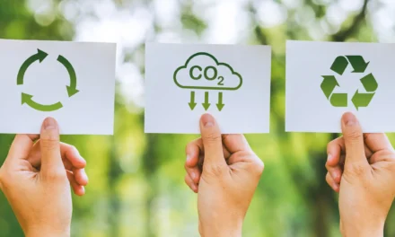 Auditoria Ambiental: 5 Erros que Você Deve Evitar e Como a Ricci Soluções Ambientais Pode Ajudar